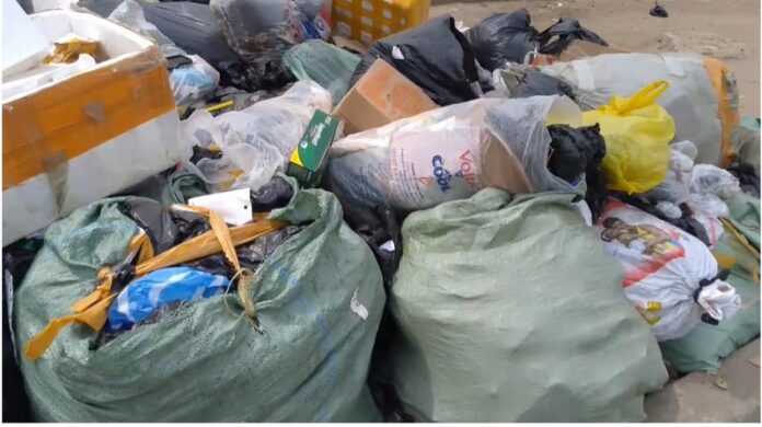 refuse rubbish borla