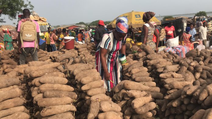 YAM PRICES SURGE AT DAMBAI MARKET AS SEASON SPELLS OUT