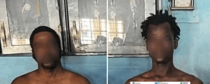Fire arm smuggle suspects