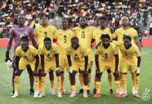 Alex Kobina Stonne writes: Ghana’s World Cup dream – A call for collective action