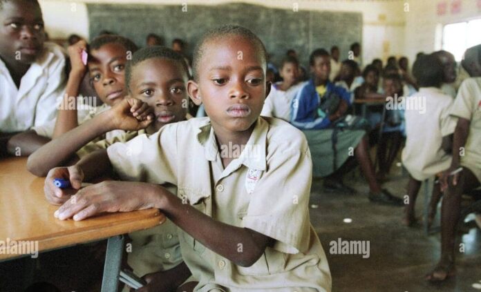 Precious Baba leads grassroots fight against malaria in Zimbabwe and Cameroon