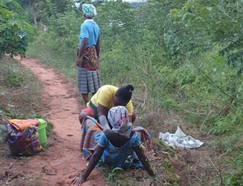Midwife farm delivery
