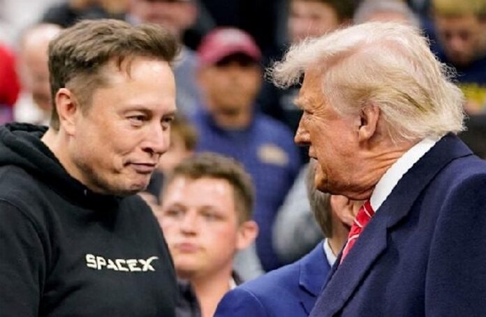 TRUMP_MUSK_FEUD (Copy)