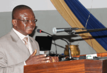 Prof. Dua Agyeman resigns as Chairman of Audit Service Board