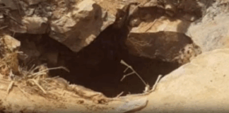 50-year-old woman dies after falling into abandoned galamsey pit at Mpasatia