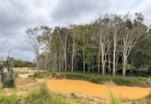 Galamsey: 12 arrested, 25 chanfang machines destroyed in Western region