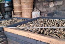 Burning ovens, empty trays: How Ghana’s fishmongers are losing the sea