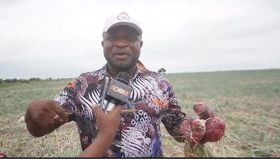Kwahu Onion Farmers appeal for government support amid market glut