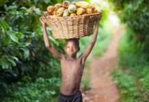 Inside Ghana’s Cocoa: The pressure and the children caught in between