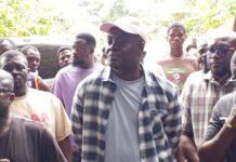 Dormaahene wages war on illegal logging in forest reserves