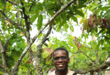Samuel Addo writes; Sustainability month: Driving change through cocoa