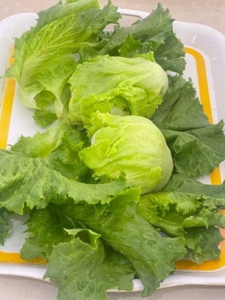 Lettuce-1-318x424 (Copy)