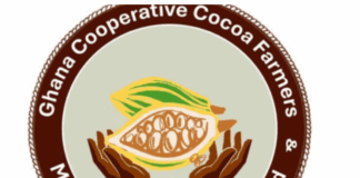 Cooperative Cocoa Farmers and Marketing Association Ltd reject new price for 2025/26 season