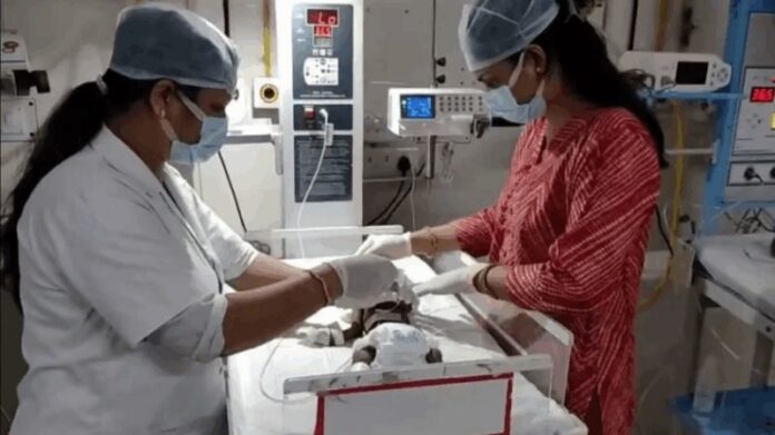 Newborn baby rescued after being buried alive in India fights for her life