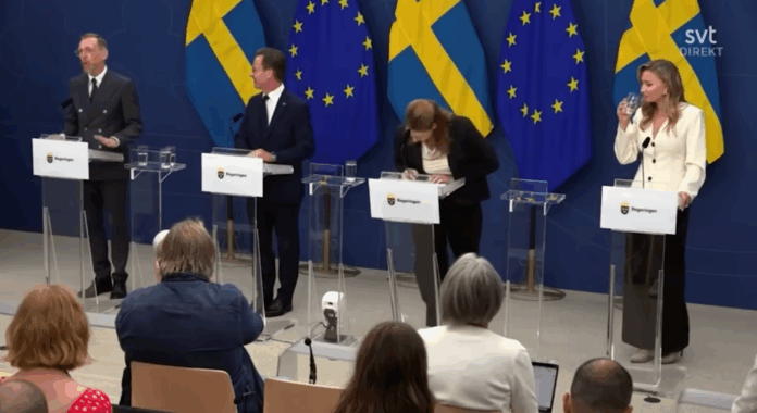 Sweden's health minister collapses