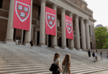 Harvard must face lawsuits over theft of body parts by ex-morgue manager, court rules