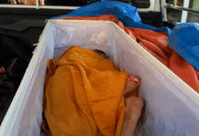 Shock as woman declared dead resurrects, knocks on coffin minutes before cremation