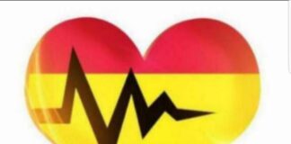 Lightwave eHealth Solutions (LHIMS)