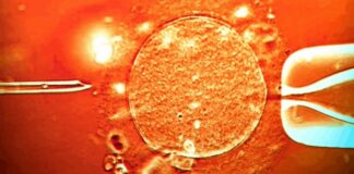 Sperm from donor with cancer-causing gene was used to conceive almost 200 children